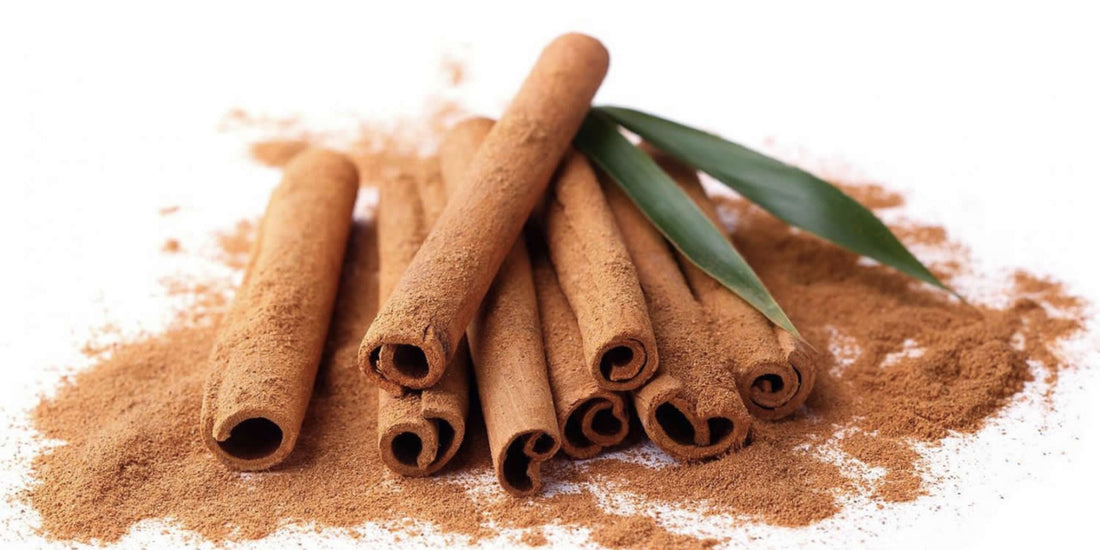 Cinnamomum Cassia Root Extract