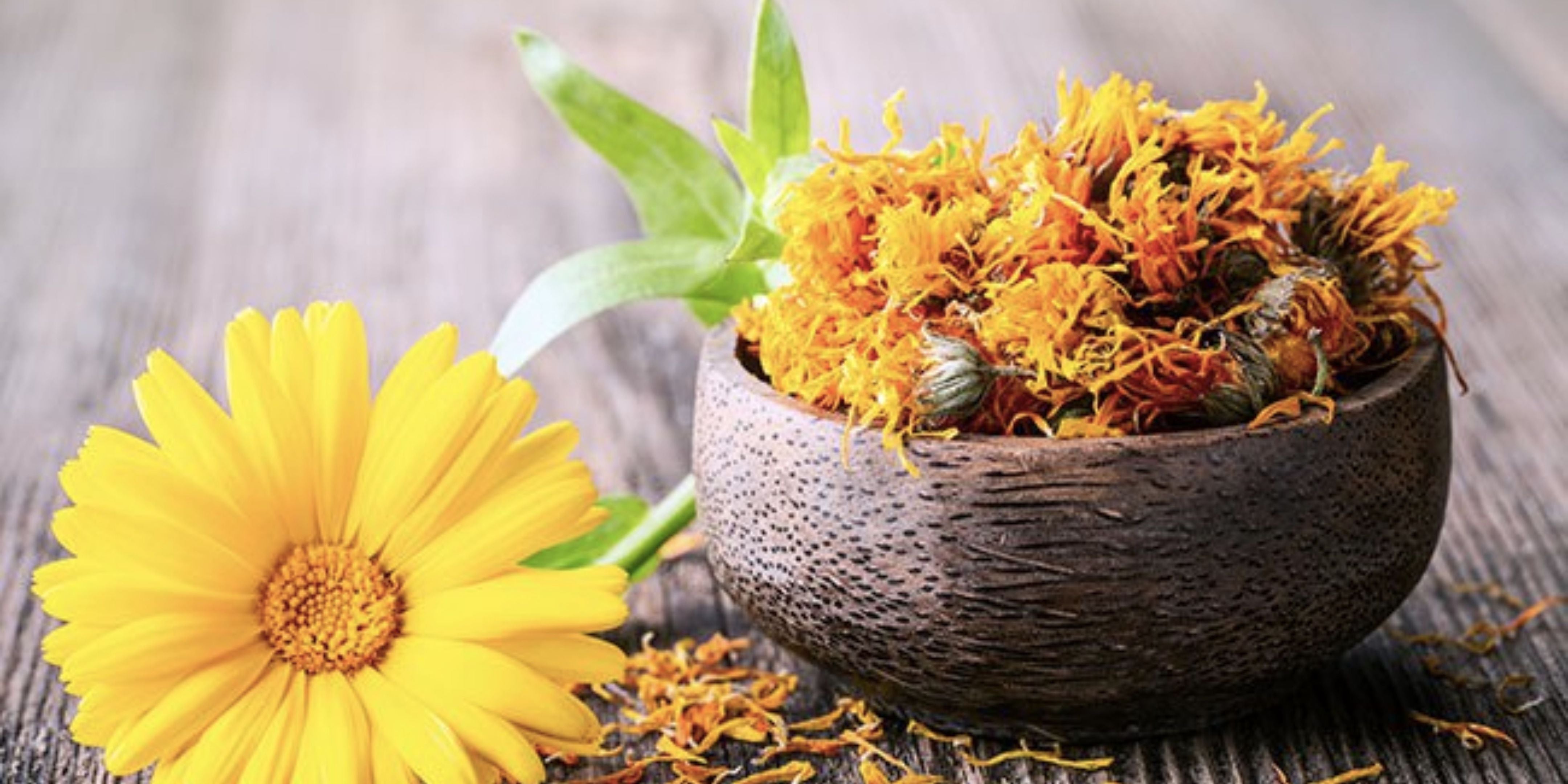 Calendula Extract – Skin Miracle